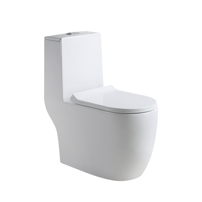 Hometure Dual Flush Elongated OnePiece Toilet & Reviews Wayfair